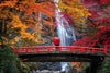 Red Bridge in Minoh Waterfall Wall Mural Peel and stick Wall Mural Deposit Photo Color Original Custom Size