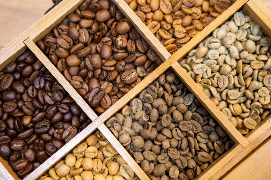Modern café with a large Roast Level Showcase Wall Mural featuring coffee beans in wooden crates. Seating includes high stools at window counters, black tables with wooden chairs, potted plants on tables, and pendant lights above.