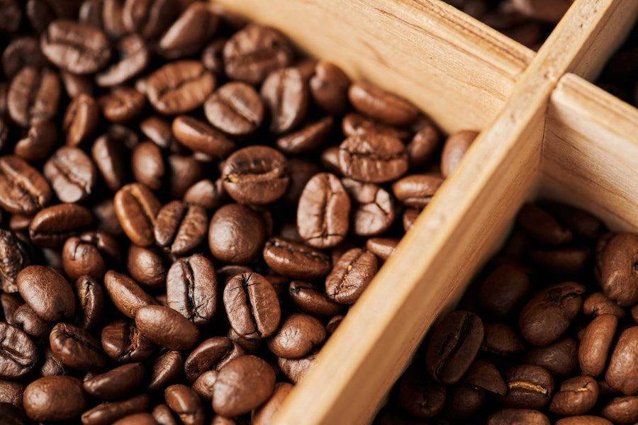 A bright, minimalist coffee shop features wooden tables and stools, potted plants, large windows, and the Roast in Motion Wall Mural—a custom print showcasing a close-up of coffee beans with a wooden scoop.