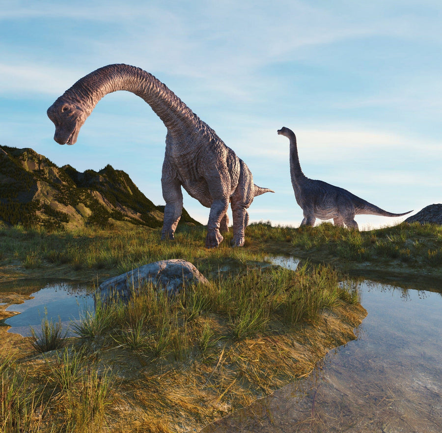 Two large sauropods with gray, textured skin stand in a grassy, sunlit prehistoric landscape near shallow water and distant mountains under a blue sky, featured in the Sauropods by the Stream Wall Mural.