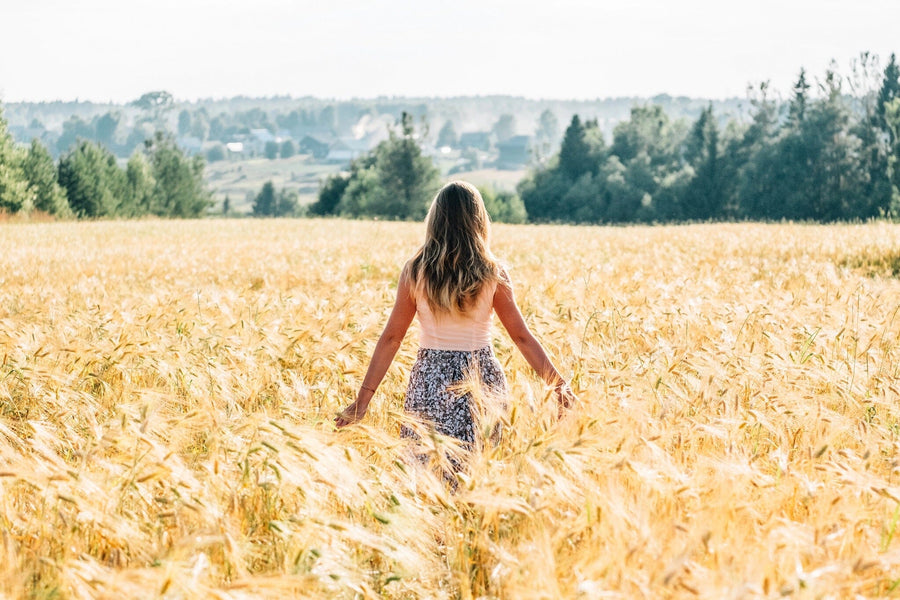 A modern living-dining room with wooden floors, teal armchairs, and a dining table features the Serene Countryside Wall Mural, depicting a woman walking through a golden wheat field under a blue sky for a natural, tranquil vibe.
