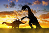 The Silhouette of Dinosaurs Wall Mural by photo features a Stegosaurus-like dinosaur with spikes and a towering bipedal dino with a long neck and claws. An orange-yellow sunset sky with scattered clouds adds drama, ideal for peel-and-stick wall murals.