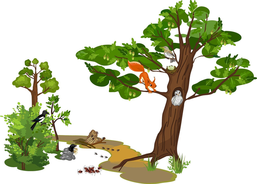 A modern nursery with a white crib, Squirrel and Owl Wall Mural of forest animals and trees, a changing table with supplies, a gallery wall, houseplants, and a soft gray rug on dark wood floors. Warm, inviting, organized space with natural light.
