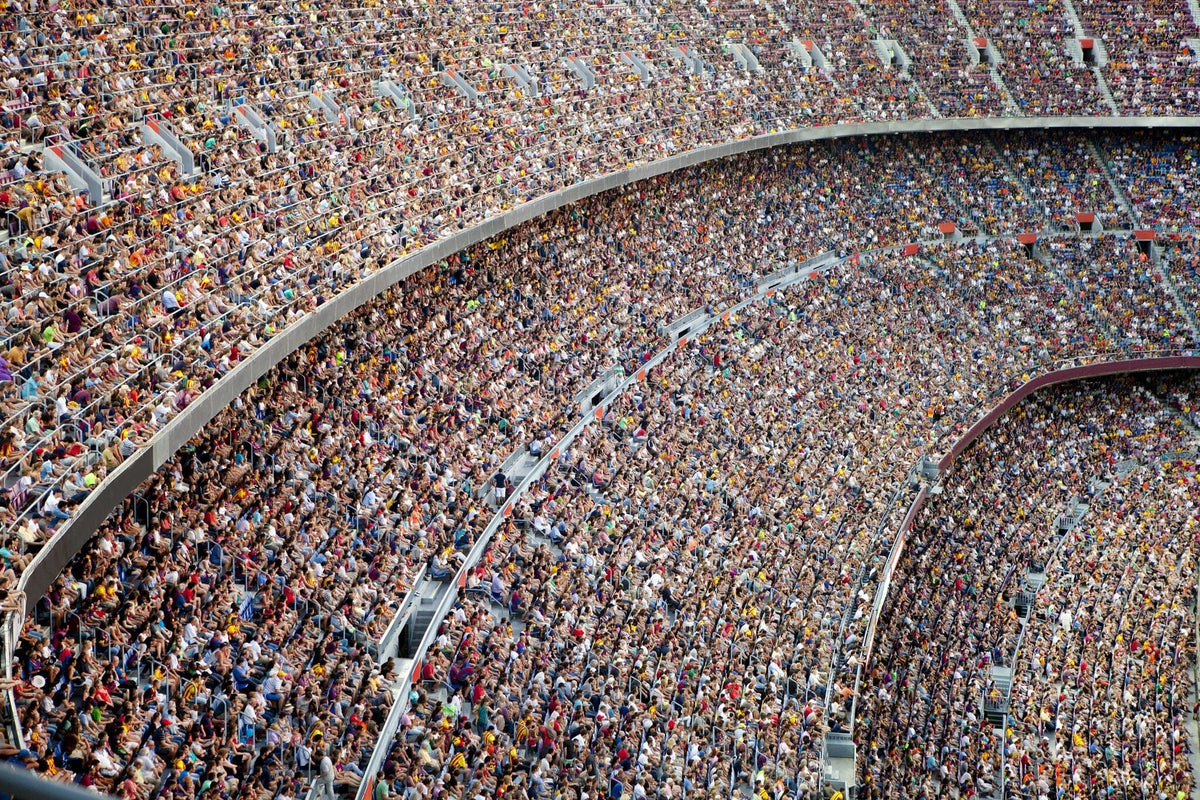 stadium full of fans – Peel and Stick Wall Murals