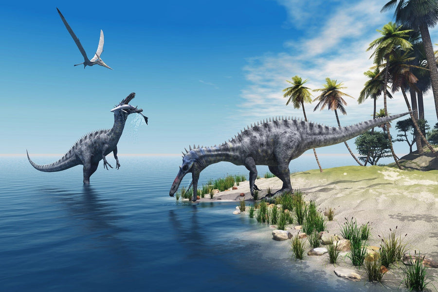 Suchomimus Peel and Stick Wall Mural Peel and stick Wall Mural photo Color Original Custom Size