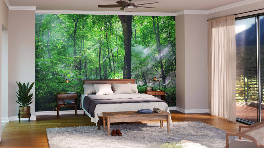 A modern bedroom features the Sun Rays Through the Trees Wall Mural on the back wall, with a wooden bed dressed in white and gray bedding, nightstands, lamps, a bench, rug, plant, ceiling fan, and sheer curtains.