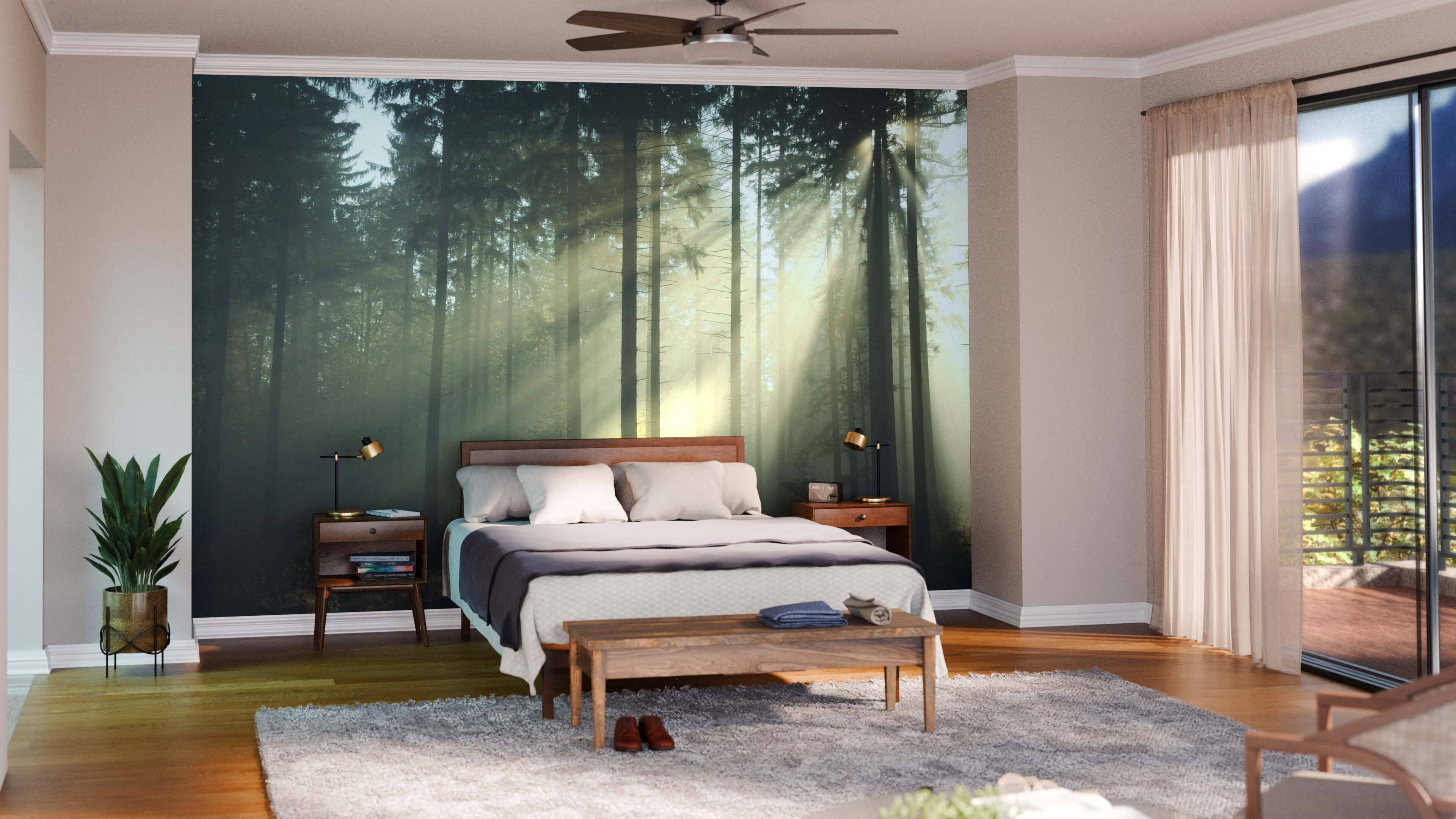 Sun lit Forest at Dawn Wall Mural - PASWM