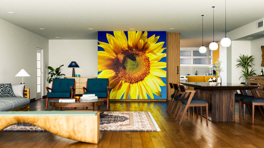 A modern living and dining room with wooden floors, mid-century furniture, blue armchairs, a dining table, kitchen area, pendant lights, and a vibrant Sunflower Against Blue Wall Mural as a peel and stick accent.