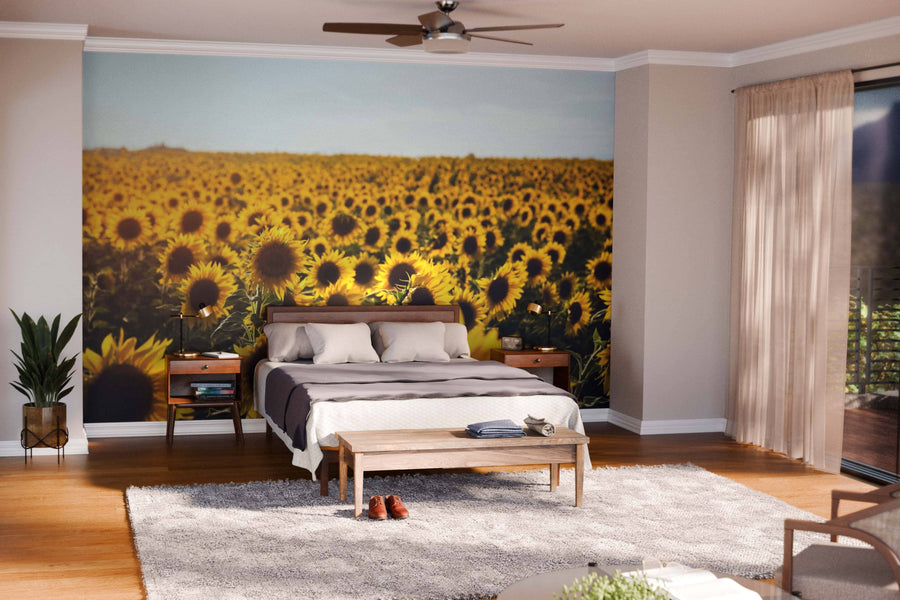 A modern living-dining room with wood floors, teal armchairs, a wooden dining table, and globe pendant lights features the Sunflower Field Wall Mural on one wall, bringing brightness to this open, stylish space.