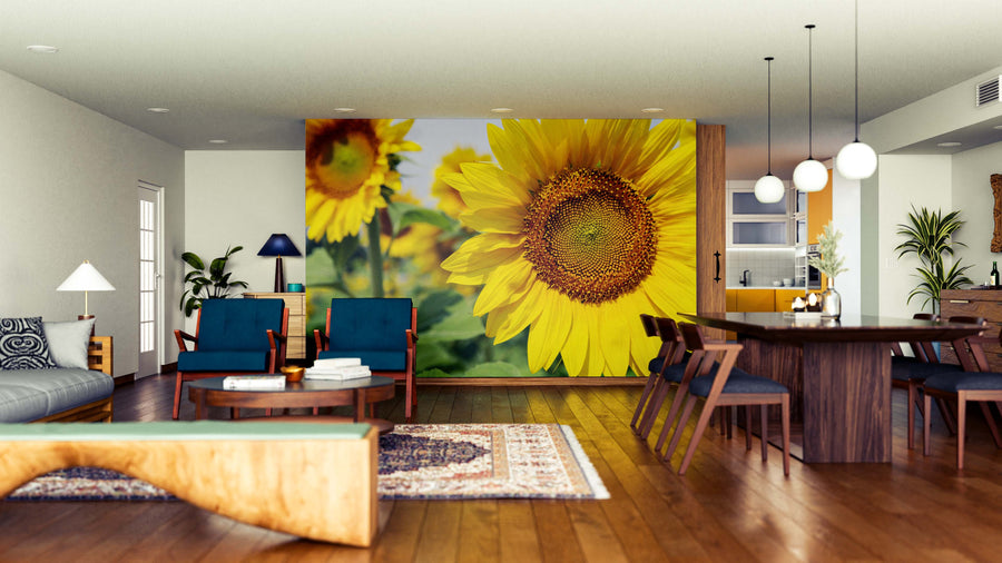 A modern open-plan living and dining room features wooden floors, blue chairs, a large dining table with dark chairs, and the Sunflower in Focus Wall Mural, adding vibrant color and style to the cozy space.