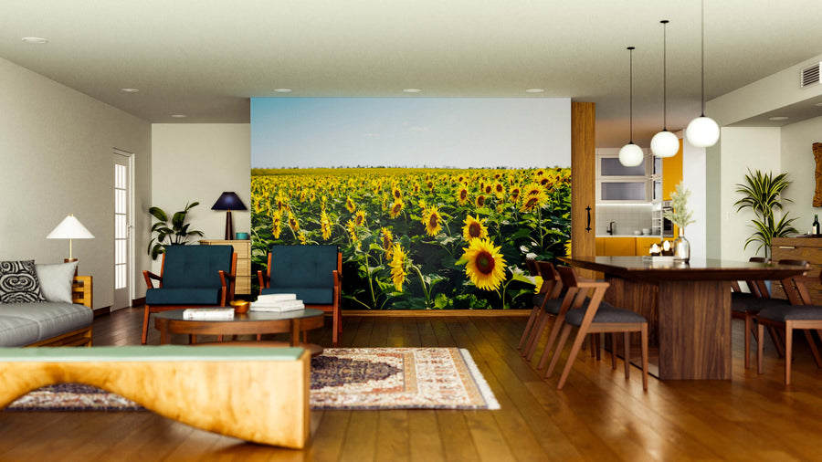 A modern living and dining room features wood floors, mid-century furniture, and the Sunny Bloom Horizon Wall Mural for vibrant color. Pendant lights, a cozy rug, and plants complete the inviting décor.