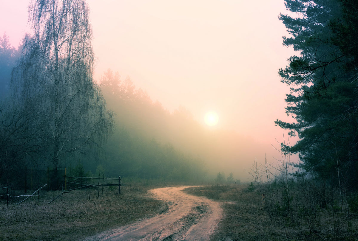 Sunrise on a Foggy Forest Road Wall Mural
