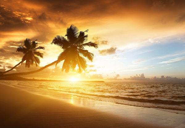 Serene sunset on the beach of caribbean sea – Peel and Stick Wall Murals