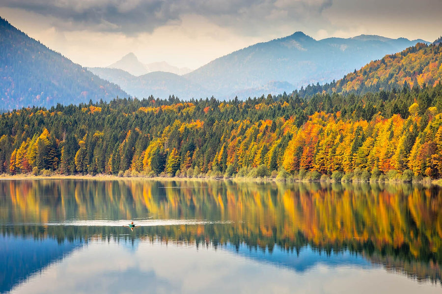 A cozy bedroom features the Sylvenstein Lake in Bavarian Alps Wall Mural of a lake, autumn forest, and mountains. The room includes a wooden bed with beige bedding, bedside tables, indoor plants, a bench, and large windows letting in natural light.
