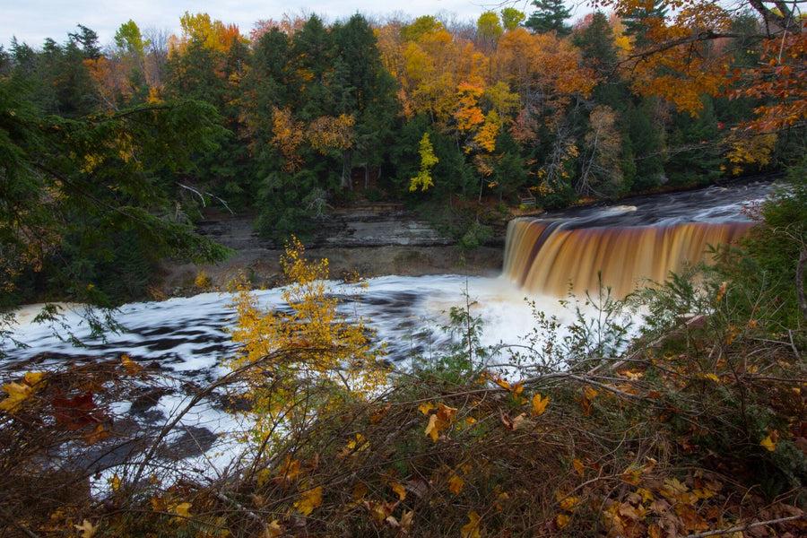 A modern open-plan living and dining area features wooden floors, teal chairs, and the Tahquamenon Falls Wall Mural showcasing a forest waterfall amid autumn foliage. Plants, pendant lights, and a patterned rug complete the decor.