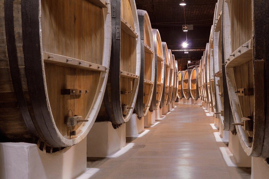 A modern café features wooden tables and stools, potted plants, pendant ceiling lights, a wine rack on the right, and a Timeless Oak Wall Mural showing a row of wine barrels in a cellar as a peel-and-stick accent.