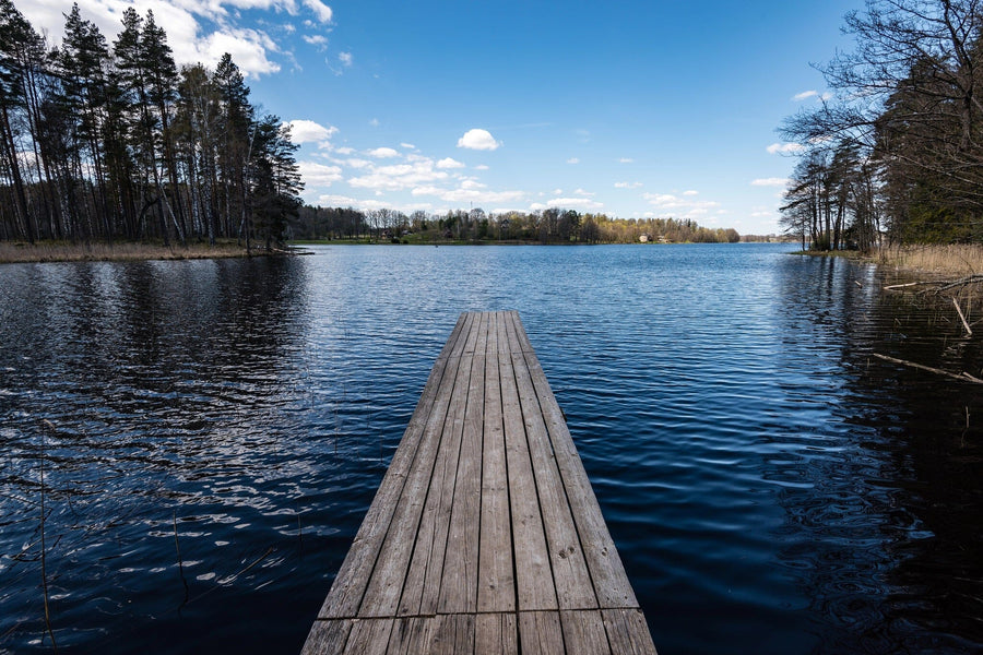 A modern open-plan living and dining area with wooden floors, teal and wood furniture, and a Tranquil Waters Wall Mural featuring a dock over a calm lake under blue skies, creating a serene and spacious atmosphere.