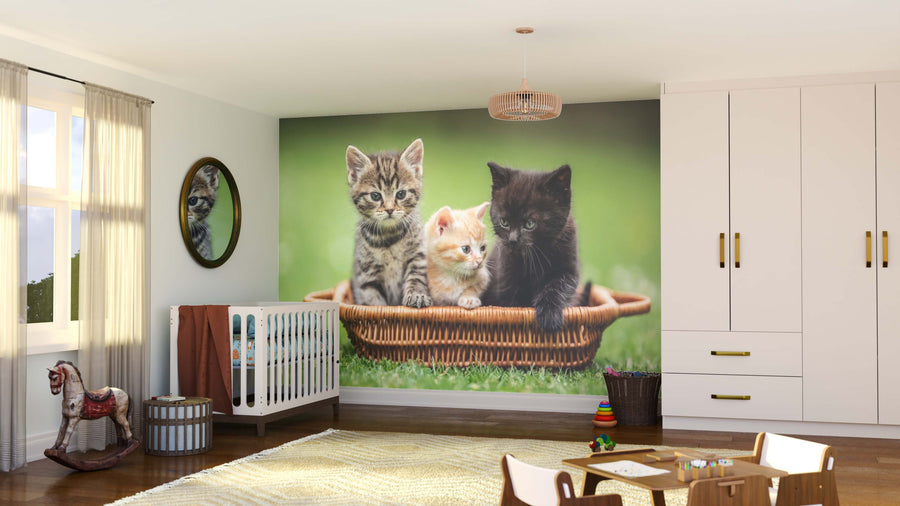 A cozy nursery with wooden floors features a crib, toys, and the "Trio of Paws Wall Mural," showing tabby, orange, and black kittens in a wicker basket on grass. Sunlight streams in through sheer curtains, enhancing the playful scene.