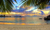 A tropical beach at sunset, with palm trees swaying in the gentle breeze – Peel and Stick Wall Murals