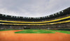 Bring the excitement of a packed baseball stadium to your space with the Baseball 11 Wall Mural, showcasing a lush green field and three tiers of seating on matte canvas-textured, peel and stick material.