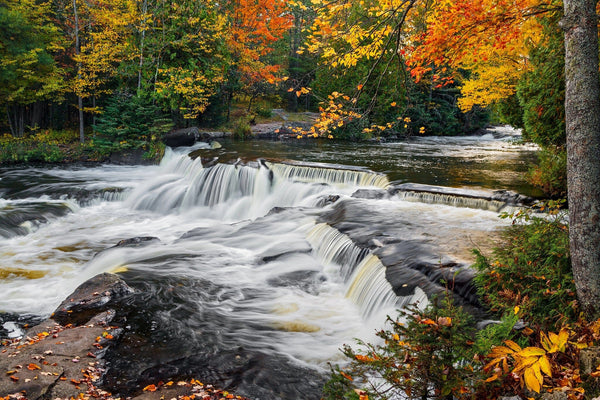 Upper Bond Falls Wall Mural - Peel and Stick Wall Murals Peel and stick Wall Mural Deposit Photo Color Original Custom Size