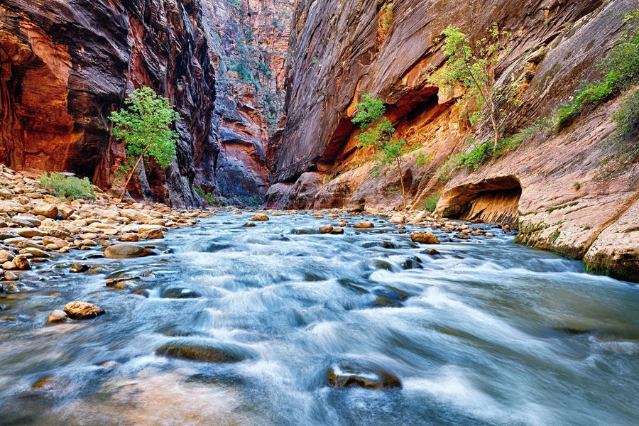 View of the Virgin River Wall Mural Wallpaper Mural Color Original Custom Size
