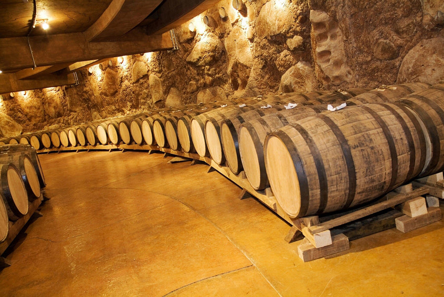 Modern wine bar with high stools, wooden tables, and potted plants. The back wall features the Vintage Wine Barrels Wall Mural depicting a cozy cellar scene. Glass windows line the left; shelves of wine bottles are visible on the right. Warm, inviting vibe.