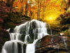 Waterfall Cascade Wall Mural Peel and stick Wall Mural Deposit Photo Color Original Custom Size