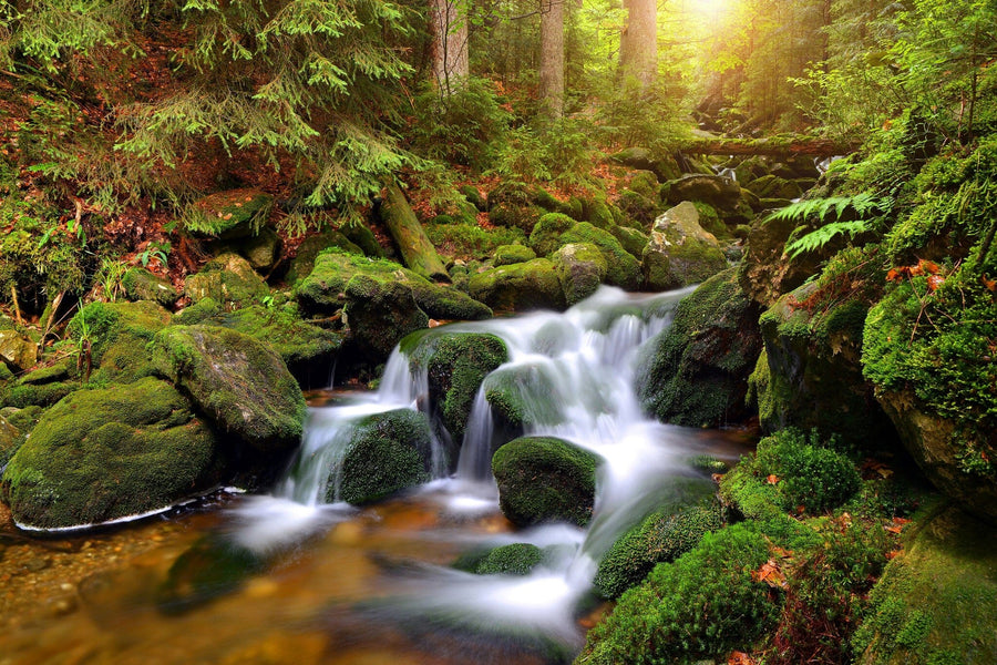 A modern open living-dining area features wooden floors, mid-century furniture, and a large Waterfall on Mountain Stream Wall Mural that brings nature indoors. Pendant lights hang above the table; the kitchen is visible in the background.