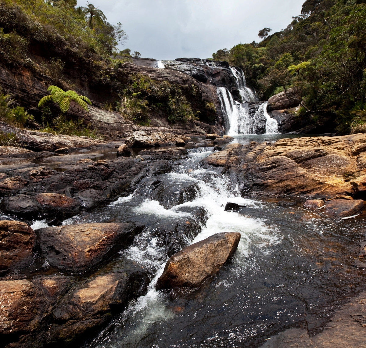 Waterfalls in Sri Lanka Wall Mural Wallpaper Mural Deposit photo Color Original Custom Size