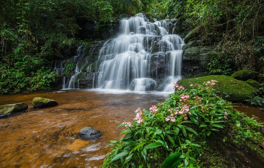 A modern living and dining room with wood floors, blue chairs, and a rug features the "Waterfalls in Thailand Wall Mural" on the main wall, bringing lush nature into the contemporary decor.