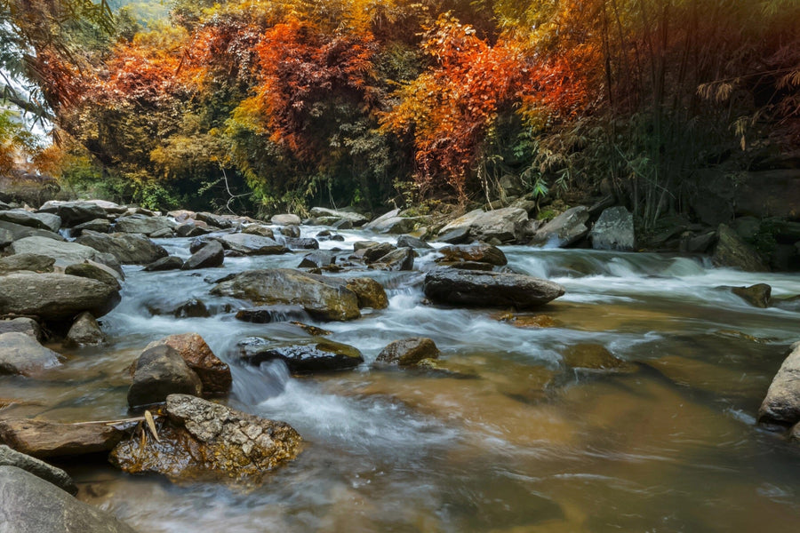 Spacious, modern living-dining room with wood floors and mid-century furniture. The Waterfalls in the Wilderness Wall Mural, blue chairs, and pendant lights combine to create a cozy, inviting atmosphere.
