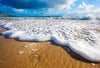 The Wet Feet Wall Mural captures waves washing over a sandy beach under a blue sky with scattered clouds. Sea foam contrasts with golden sand, creating a serene coastal scene on a peel and stick canvas that inspires the imagination with sunlit clouds and distant shorelines.