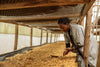A woman in a gray coat inspects coffee beans drying on mesh racks inside a greenhouse, sunlight filtering in—a captivating image featured on the Coffee 6 Wall Mural, ideal for custom printed or peel and stick wall décor.