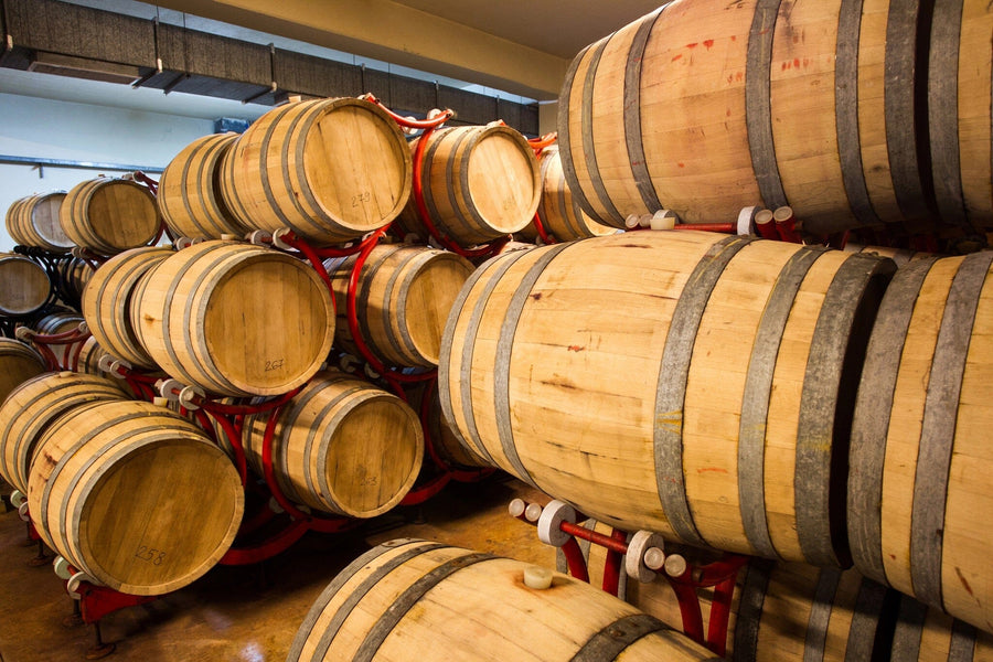 A cozy modern cafe with wooden tables, barstools by a window, and a large Wine Barrels Cellar Wall Mural. Pendant lights hang from the ceiling, potted plants decorate tables, and wine bottles are displayed on shelves.
