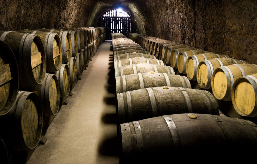 A modern café with wooden tables and potted plants has a custom "Wine Barrels in Cellar Wall Mural" on the back wall, bringing an inviting, rustic vibe with its depiction of rows of barrels.