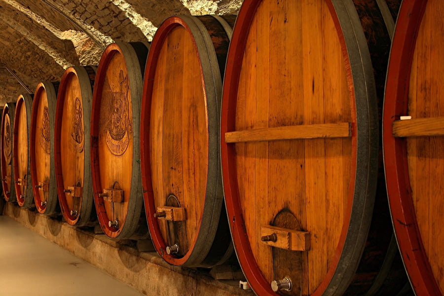 Modern café interior with wooden tables and black chairs. The back wall features the Wine Cellar Wall Mural, depicting rows of wine barrels. Pendant lights hang above, windows line the left, and small plants accent each table.