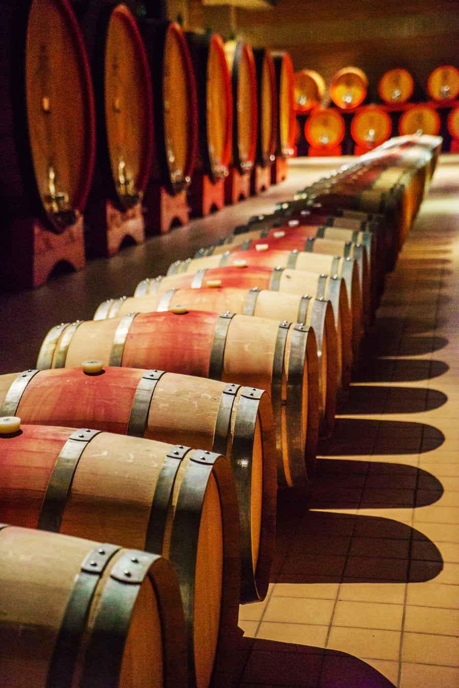 A modern wine bar with wooden tables, high stools by large windows, a tall wine rack, potted plants, pendant lights, a bulletin board, and a bright atmosphere features the Wine Cellar Interior Wall Mural depicting wine barrels.