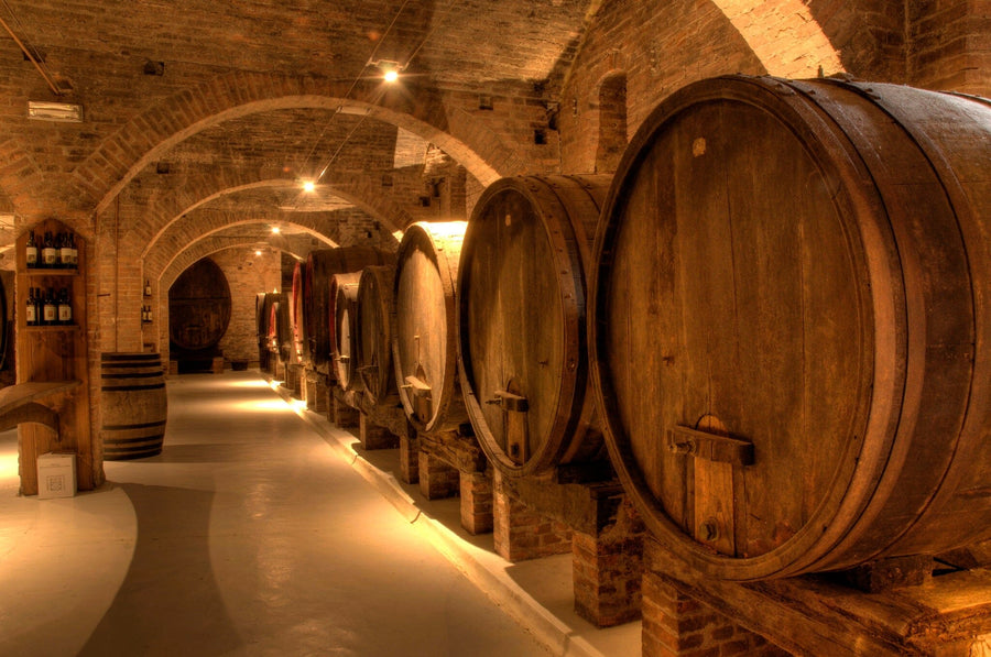 A modern café with high stools, wooden tables, and pendant lights. The back wall displays the Wine Cellar in Abbey Wall Mural, showing arched ceilings and large barrels. Small potted plants decorate each table by the windows.