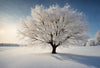 A snow-covered tree stands alone in a vast field – Peel and Stick Wall Murals