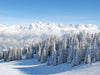 Snow-covered alpine peaks in winter – Peel and Stick Wall Murals