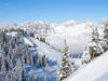 Swiss Alps covered in snow with trees – Peel and Stick Wall Murals