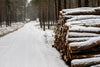 A serene winter scene unfolds with a snow-covered forest path flanked by towering trees, curving to the horizon and echoing the tranquil beauty of the "Wooden Prisms Covered with Snow Wall Mural," as snow-dusted logs line one side under a peaceful snowfall.