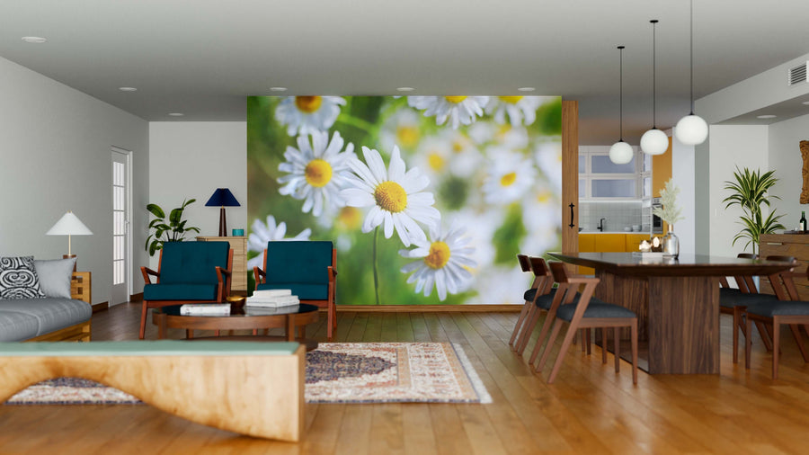 A modern open-plan living and dining area with wood flooring and stylish furniture is brightened by the "Chamomile in Green Grass Wall Mural," featuring vibrant white daisies with yellow centers on a fresh green background.