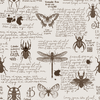 A black and white peel and stick wall mural featuring a lot of insects in the Bug Out design from ANIMALS.