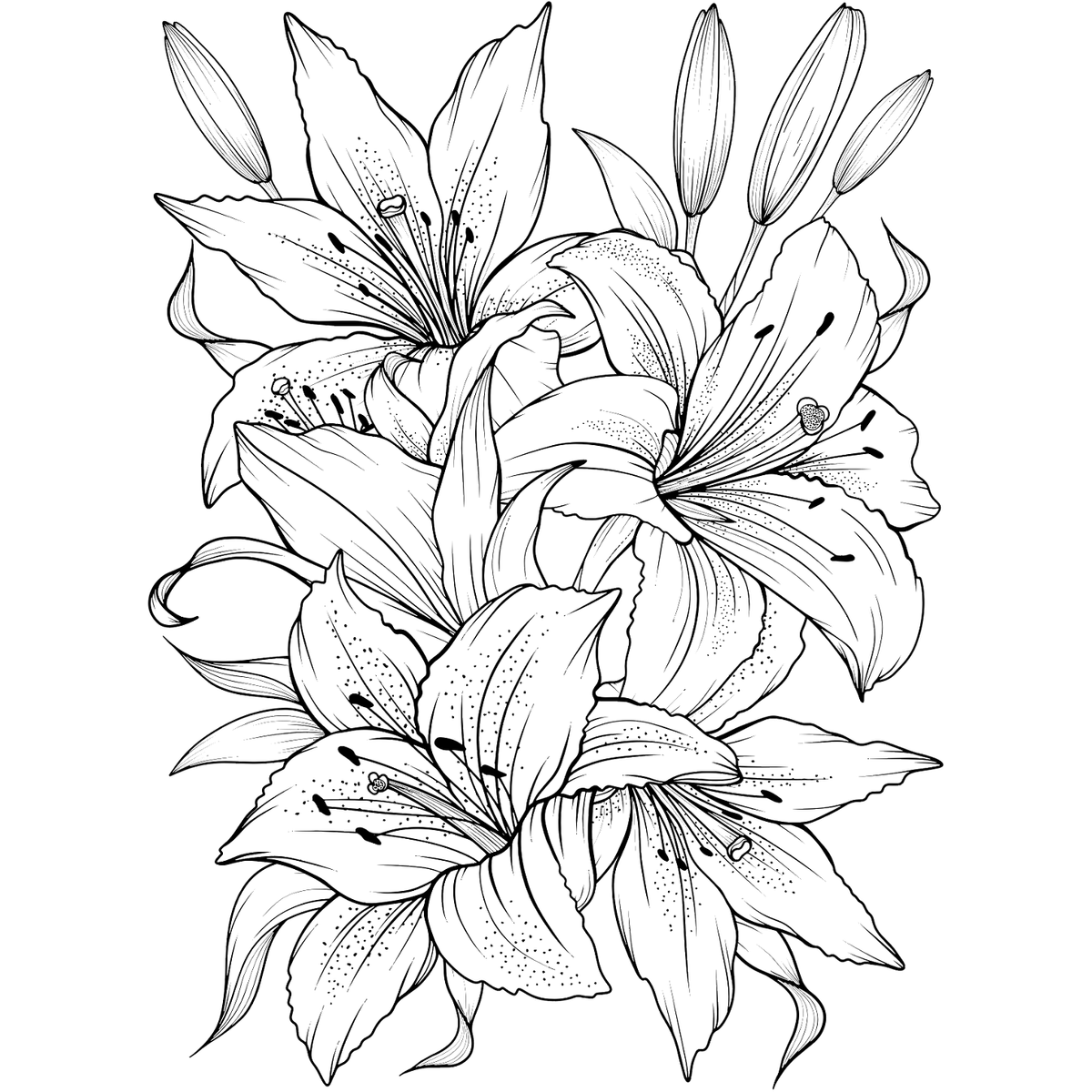 COLOR ME IN offers a variety of exquisite adult coloring pages, including their popular Color My Lily collection, perfect for those looking to express creativity and relax.